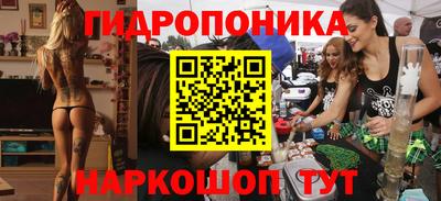 шишки Берёзовский